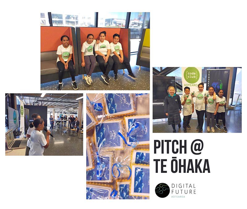 Pitch @ te ohaka poster